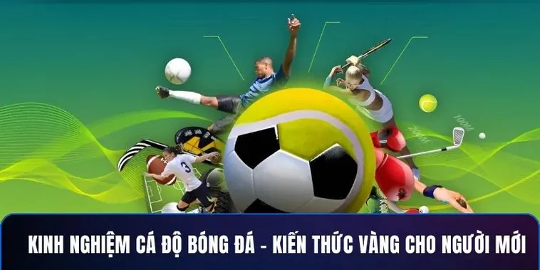 Tìm Hiểu Cá Cược Bóng Đá U888 Nơi Kèo Cược Thổi Bùng Đam Mê 2 Tìm Hiểu Cá Cược Bóng Đá U888 Nơi Kèo Cược Thổi Bùng Đam Mê
